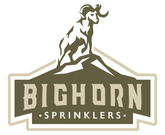 logo-large
